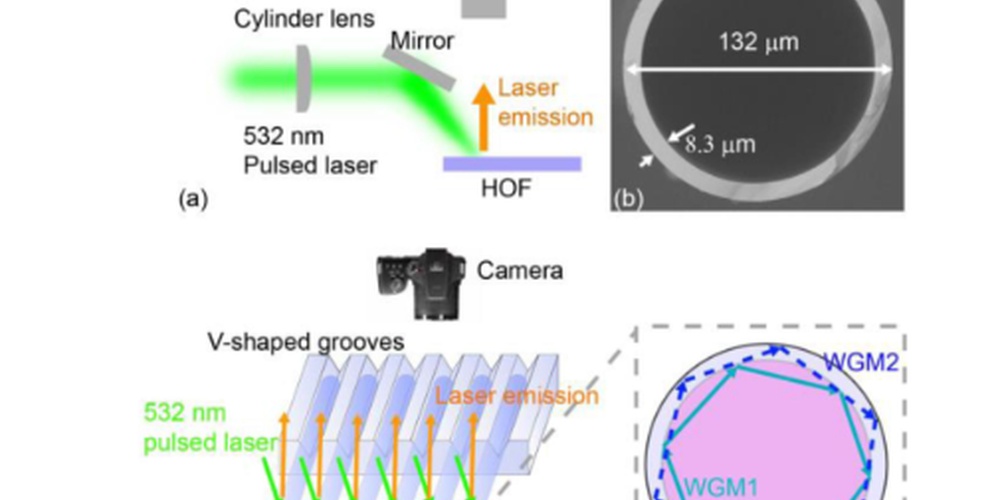 Highly Reproducible Isotropic Optofluidic Laser Based On Hollow Optical Fiber